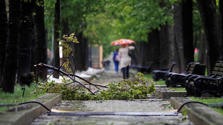 Ураган в Москве: как спастись от стихии