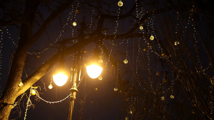 Тверские шефы помогают в благоустройстве Дмитровки