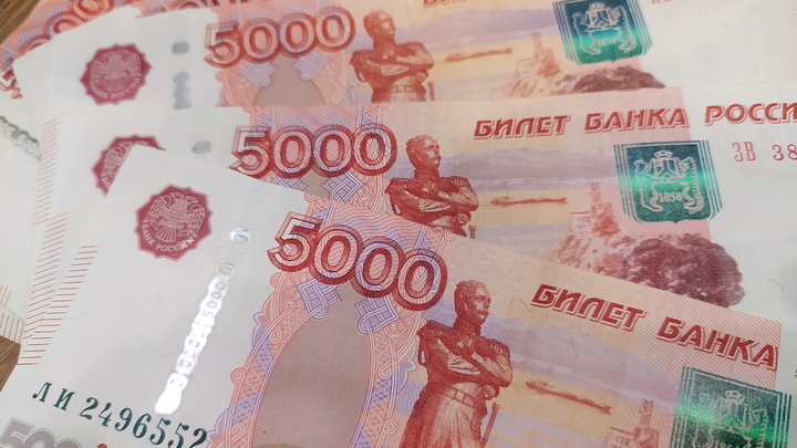 Объявленный в международный розыск акционер СМЗ вернул заводу 250 млн рублей