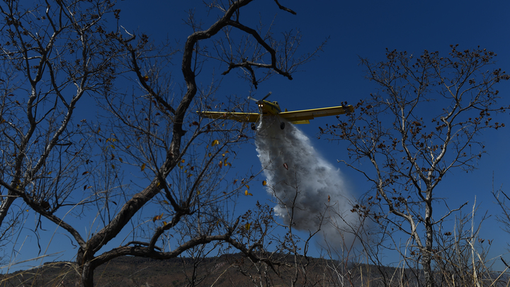 Упал прямо на трассу: Авиакатастрофа в американском Неаполе с людьми на борту