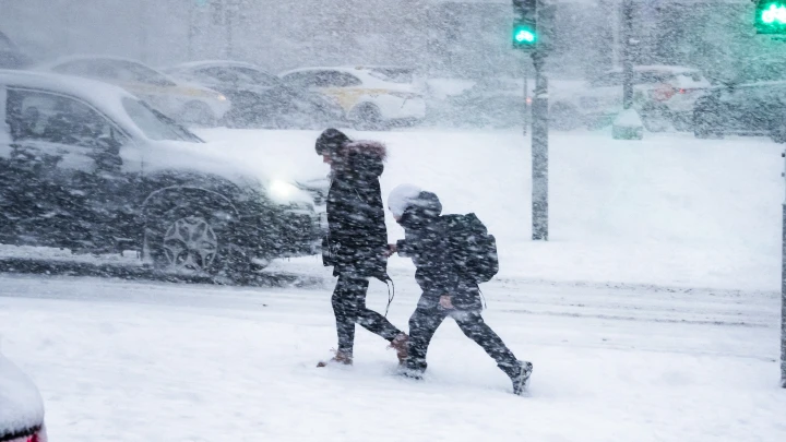 Голой земли уже не увидим: Москву накроет снегом. Синоптик назвал сроки