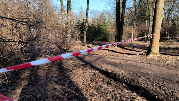 Еще одного пропавшего в Прикамье юношу нашли погибшим