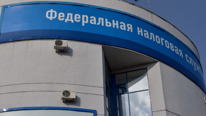 Профессор Хаванова объяснила, как вернуть переплату по налогам