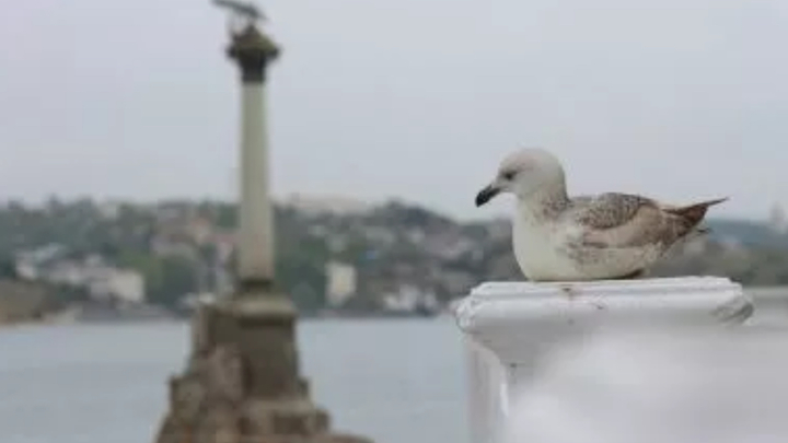 Тихо и дешево: лучшие места Крыма для спокойного отдыха