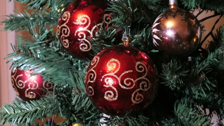 Украли праздник: В Бурятии пенсионеры лишились украшенной ёлки