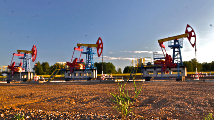 Искать нефть станет проще: Русские учёные разработали особый алгоритм