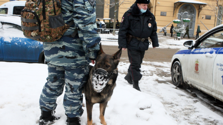 Лжеминёры добрались до школ в Искитимском районе Новосибирской области