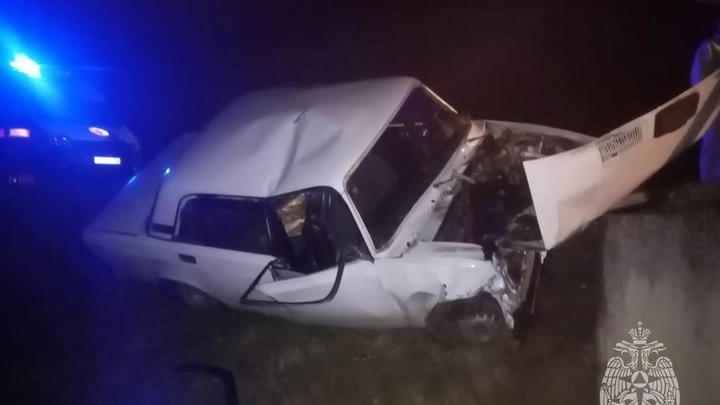 Водитель автомобиля ВАЗ погиб при опрокидывании в Сеченовском районе