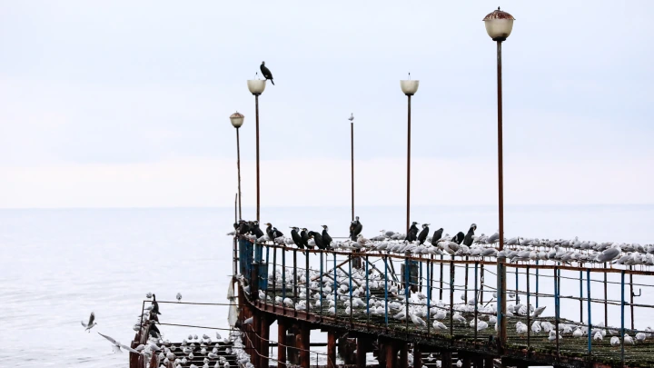 Купальный сезон под вопросом: Вильфанд сообщил о похолодании морской воды в Крыму до +15 градусов