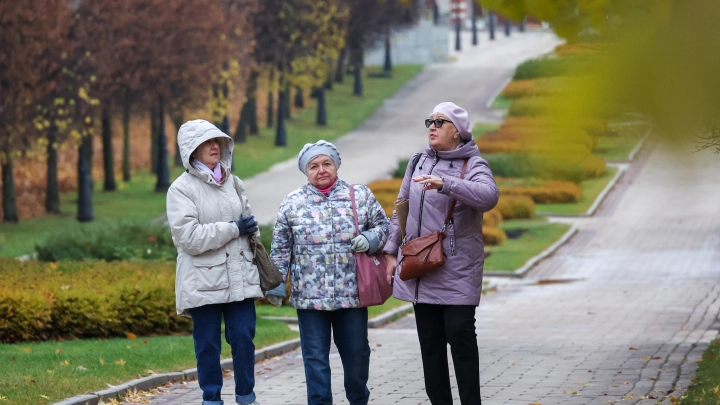 Названы условия, при которых может быть приостановлена выплата пенсии