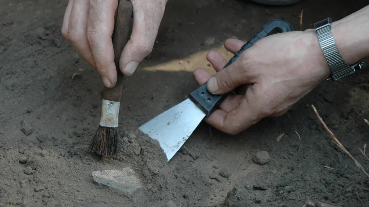 Сетчатые сооружения возрастом 120 тысяч лет и водный канал нашли ученые в Турции