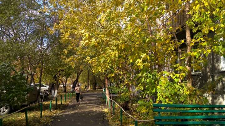 Жара до +15 градусов придет в Кузбасс на выходных