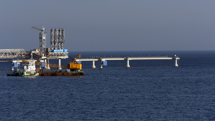 Жителей Японии потрясло решение Путина по Сахалину-2: А вы что думали?