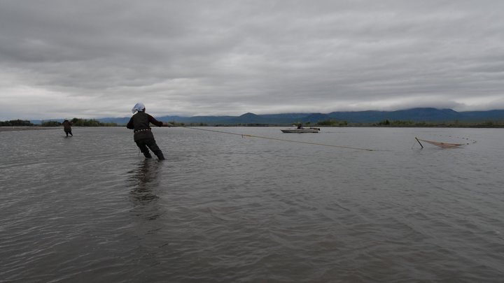 В природе таких пятен не бывает: Находка в камчатской реке озадачила учёных