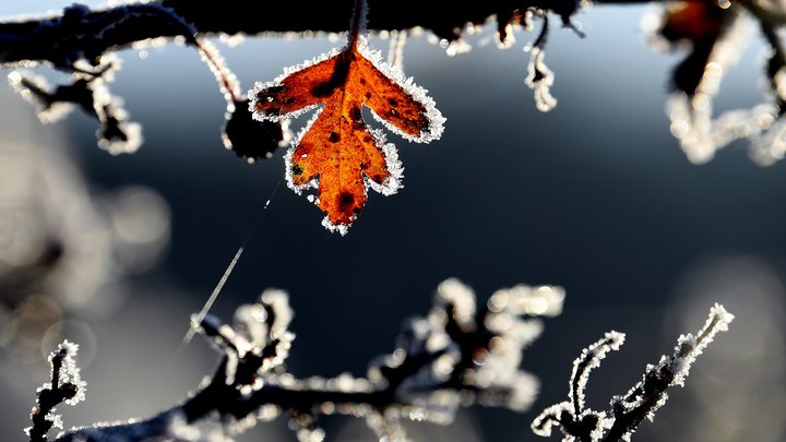 Начало ноября будет морозным: Синоптики предупредили о резких перепадах температур на Урале