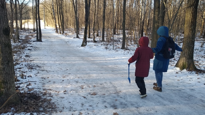 День жестянщика: Во Владимирской области сегодня ожидается гололед толщиной 7 миллиметров