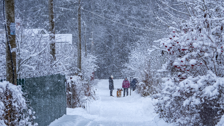 Владимирская прокуратура обязала чиновников подвести к участкам многодетных семей дороги и газ