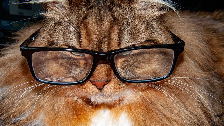 Стартап на миллион. Русские учёные изобрели маску для незрячих: зрение заменит язык