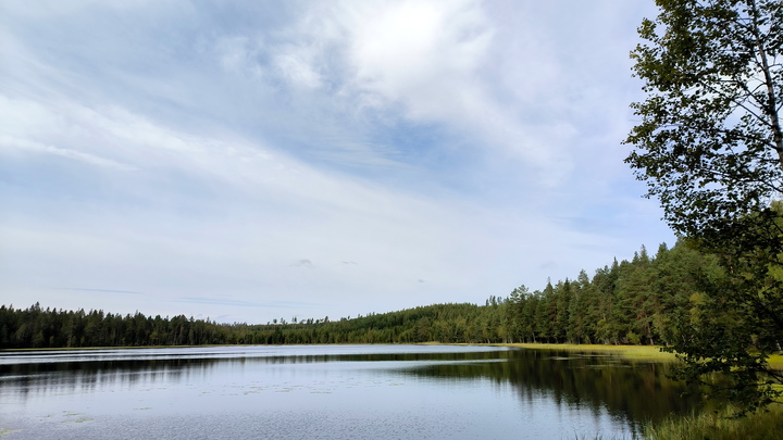 В Сибири учёные изобрели фильтр для воды на основе хитозана В Сибири учёные изобрели фильтр для воды на основе хитозана