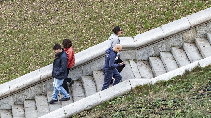 Учёные рассказали о ежедневной привычке для улучшения работы мозга