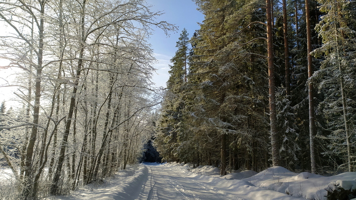 Эко-активисты вывезли макулатуру из школ Мелитополя