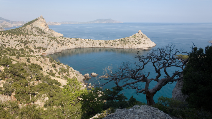 Власти Крыма оценили идею Киева обсудить статус полуострова: Без шансов