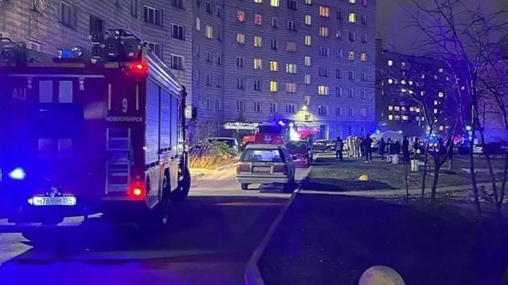 Одинокий пенсионер и пять его собак погибли во время пожара в Бердске