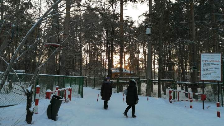 Синоптики не прогнозируют сильных морозов в Челябинске