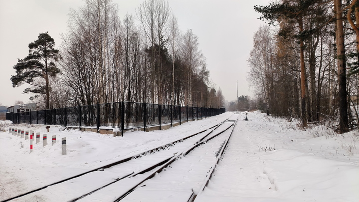 12-летний подросток умер под колесами поезда в Подмосковье