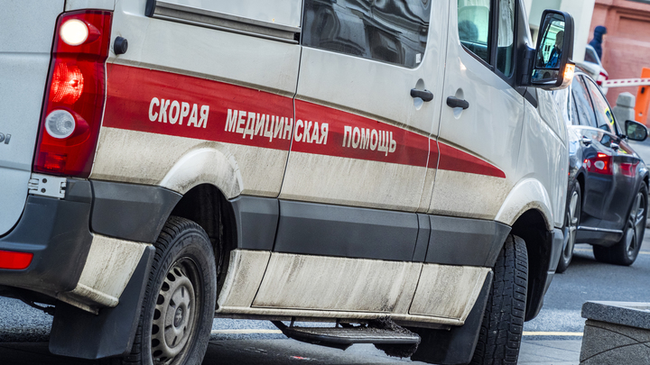 Трое под колесом, а он сдал назад: Грузовик насмерть сбил пятилетнюю девочку в Подмосковье
