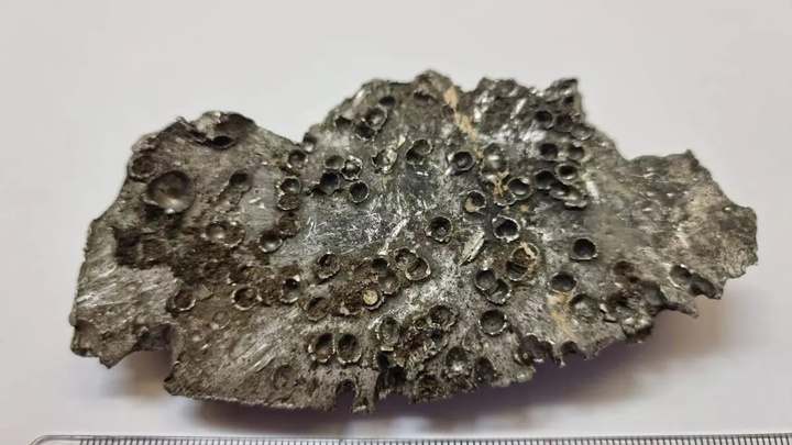 Представители России показали на форуме ОБСЕ в Вене осколки ракеты HIMARS, привезённые с Украины