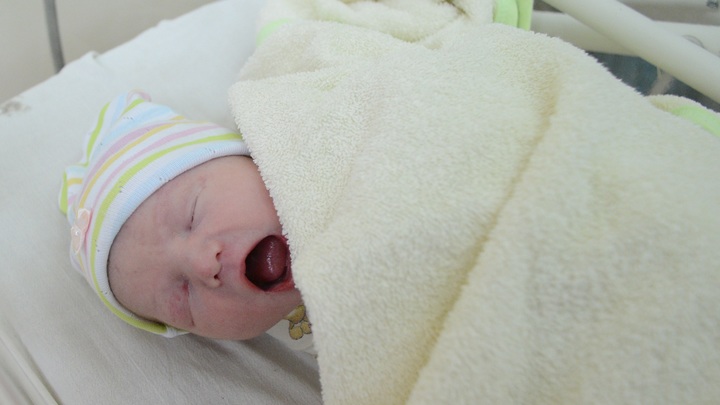 Россия скатывается до уровня 90-х: Николай Бурляев призвал ФАС объясниться