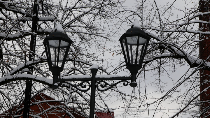 Что за бесплатные туры организовали для школьников в Ленобласти