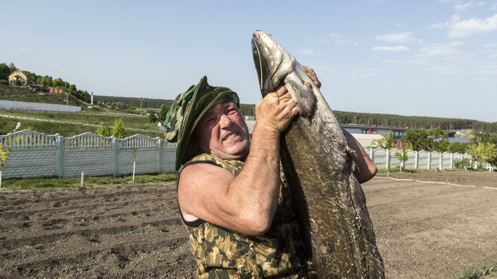 Не рыбалка, а мечта: Рыбакам дали лайфхак, как наловить на уху... бутылкой