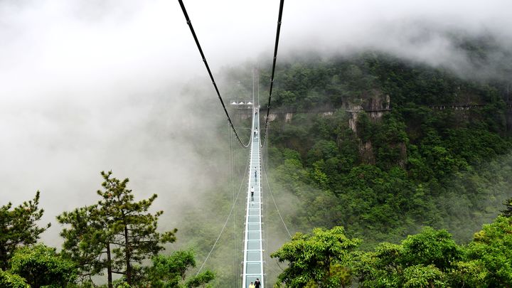 Туристка погибла при частичном обрушении стеклянного моста в Индонезии