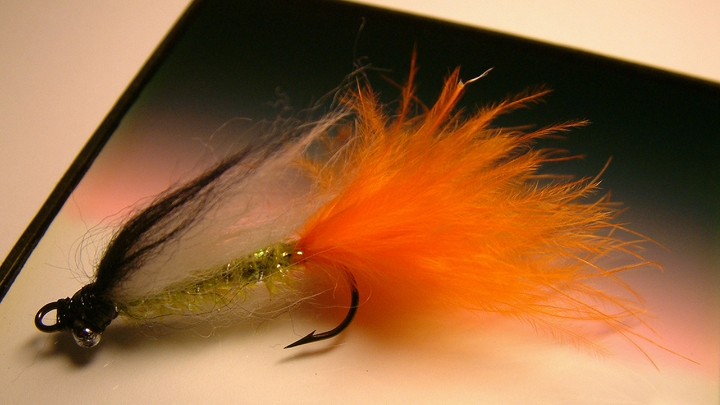 В Удмуртии вводят временный запрет на ловлю рыбы