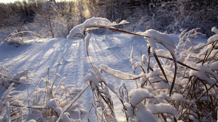 В Самарскую область пришли арктические морозы до – 33
