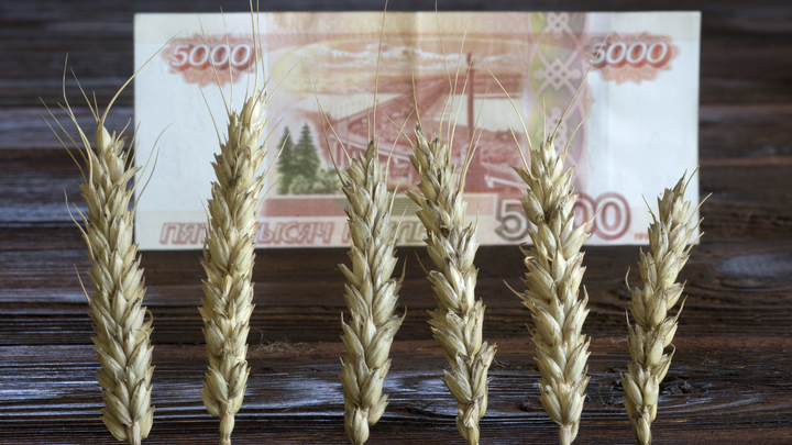 В Прикамье цены на сельскохозяйственную продукцию выросли почти на 11%