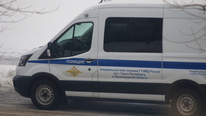 В Петербурге задержали двоих подростков за нападения на дворников-мигрантов