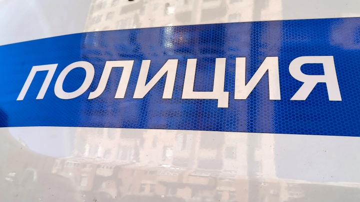 В Колпино полицейские нашли пятерых похитителей школьника