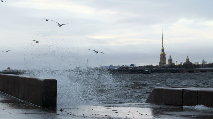 Петербург ждёт наводнение. Всё начнётся ранним утром. Подобного не было со времён Александра II