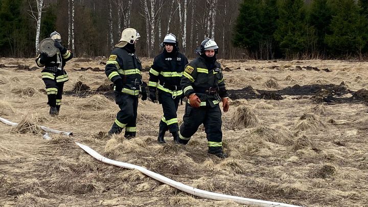 Спасатели Подмосковья просят жителей не совершать глупости – не поджигать траву