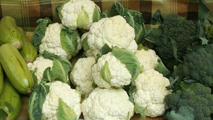 Иммунологи назвали продукты в составе которых есть останавливающее процесс старения вещество