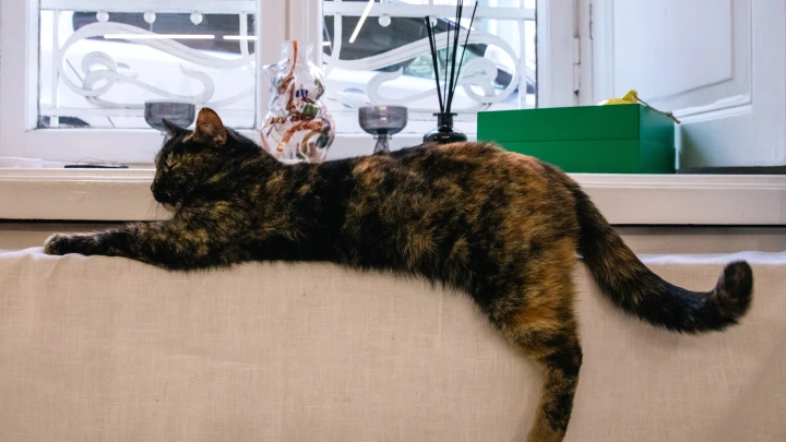 Отключение света, воды и тепла в Архангельске 28 октября 2025 года