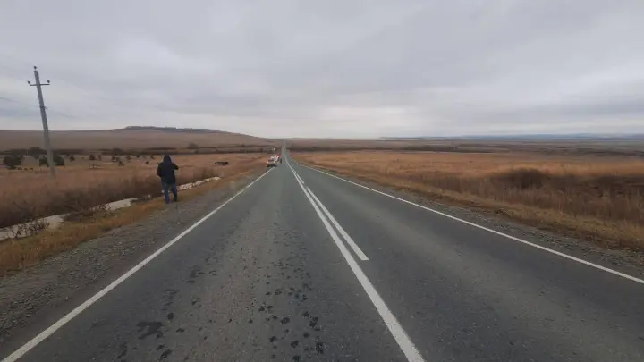 Отечественный автомобиль с детьми перевернулся в Челябинской области