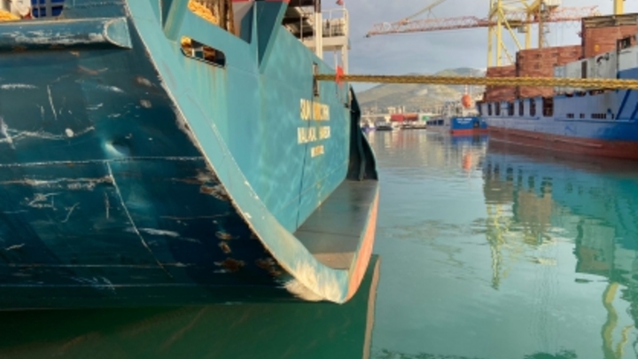 В порту Новороссийска столкнулись два теплохода
