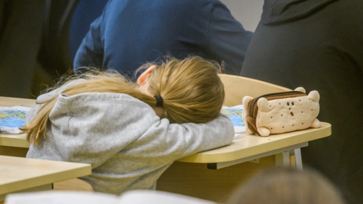 Сократить летние каникулы на месяц? Психолог назвал единственное условие, при котором это стало бы возможным