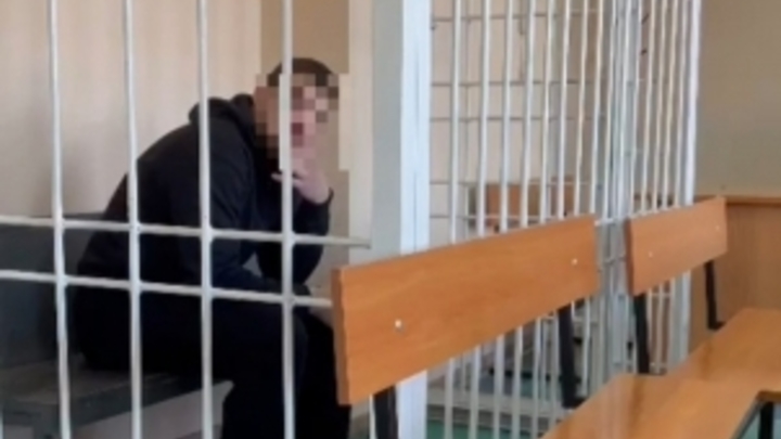 В Новосибирске арестовали подозреваемого в убийстве 23-летней девушки