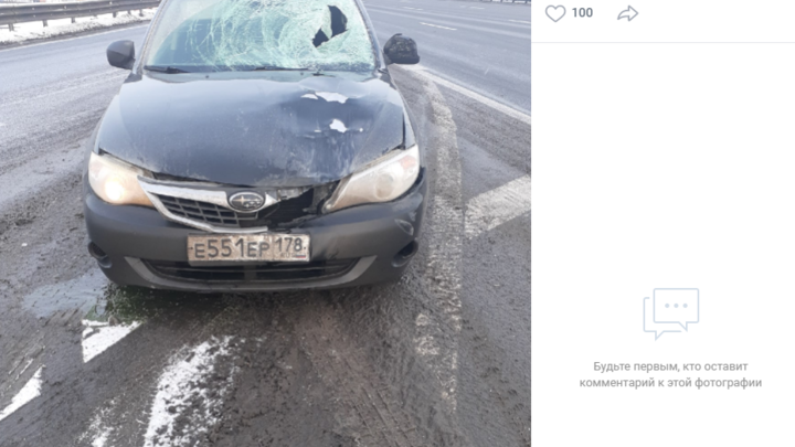 Видео: В Санкт-Петербурге на КАД сбили дорожного рабочего