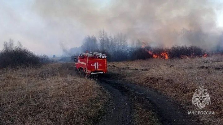В Миассе полицейские задержали мотоциклиста, подозреваемого в поджоге Ильменского заповедника